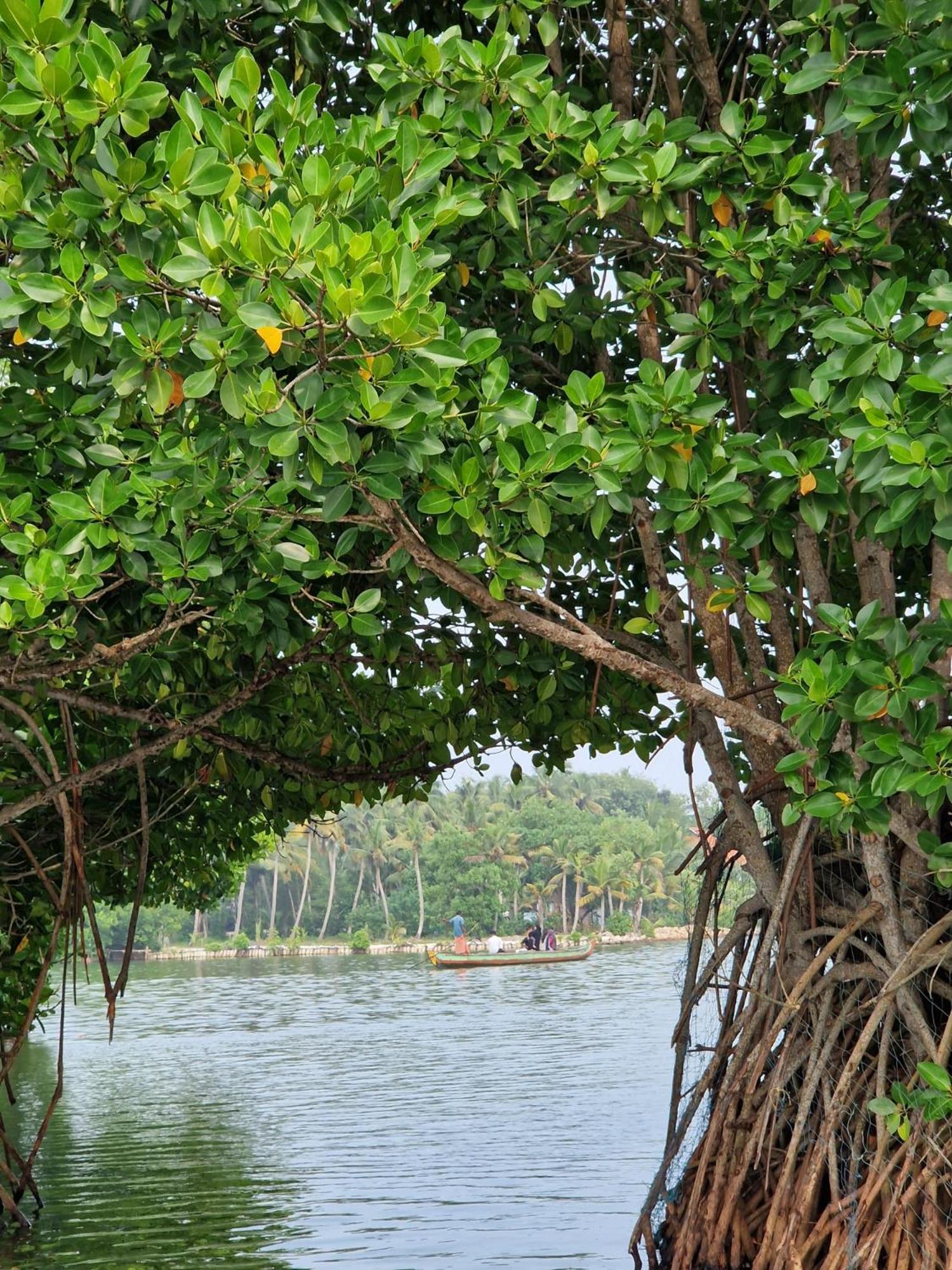 Bliss Homestay Munroe Island Mundrothuruth Exterior foto