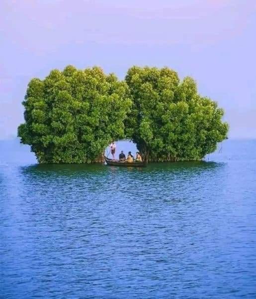Bliss Homestay Munroe Island Mundrothuruth Exterior foto